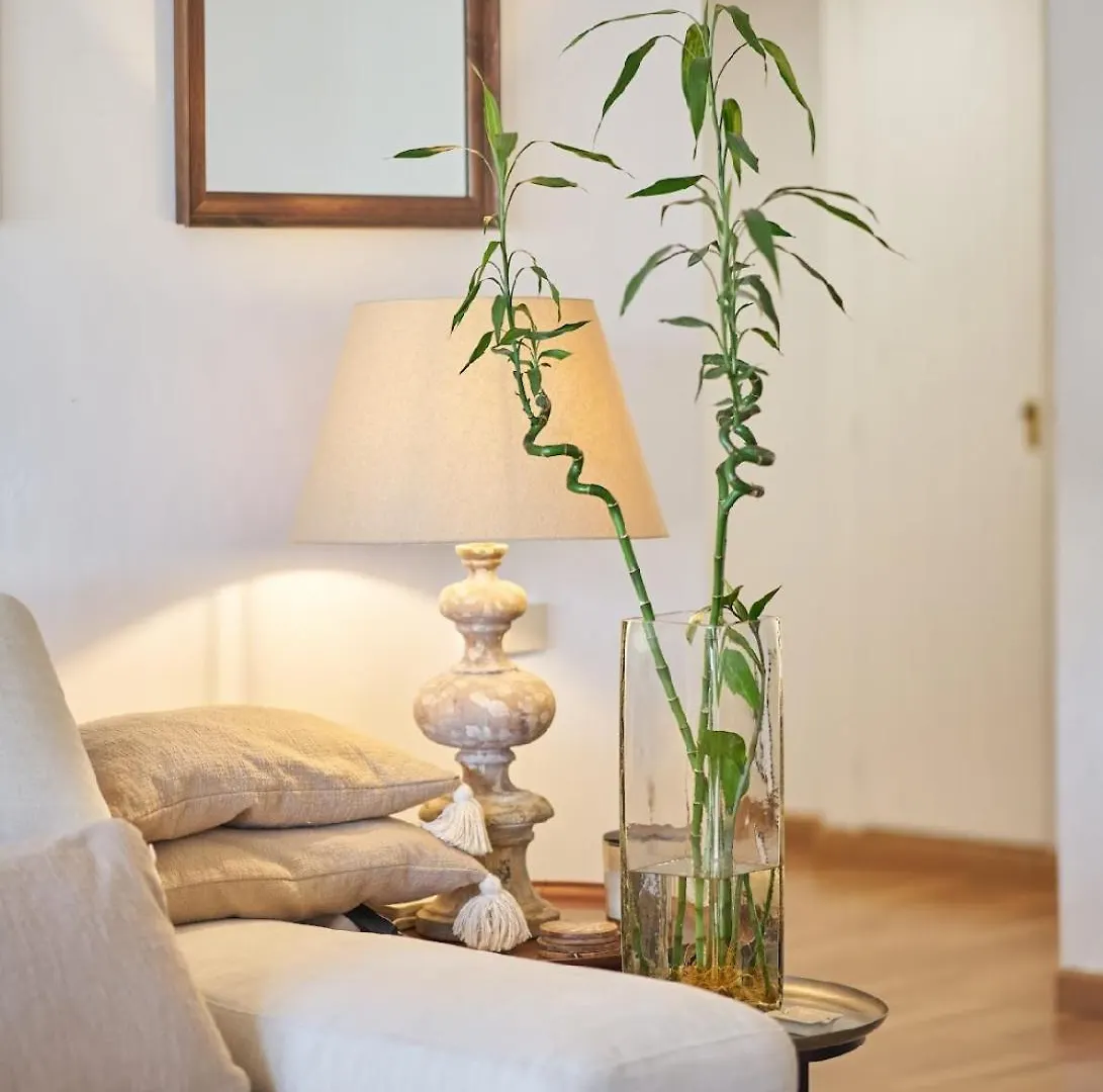 Luxury 4 Bed Flat - Beachfront In Puerto Banus Marbella Homestay